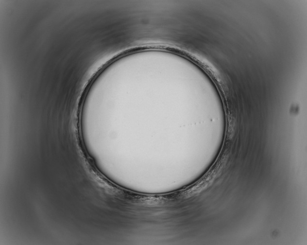 X0000100321279200807031202