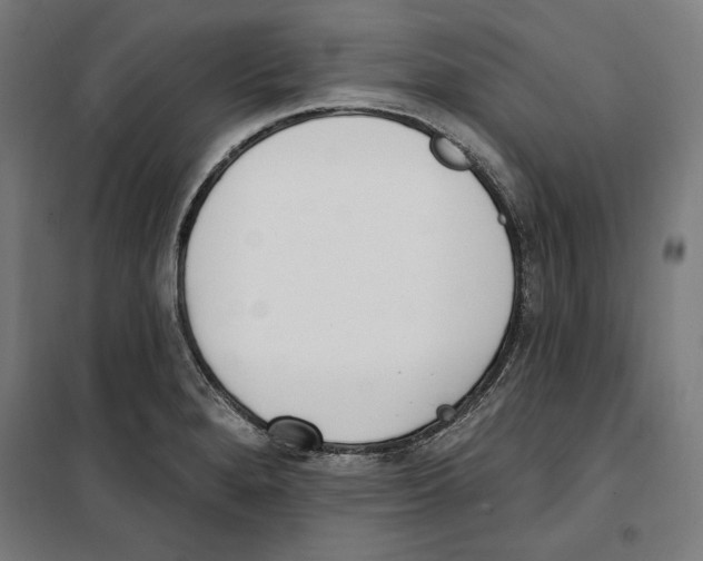 X0000100321280200807031202