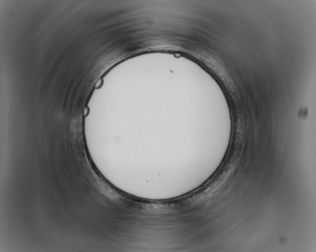 X0000100321281200807031202