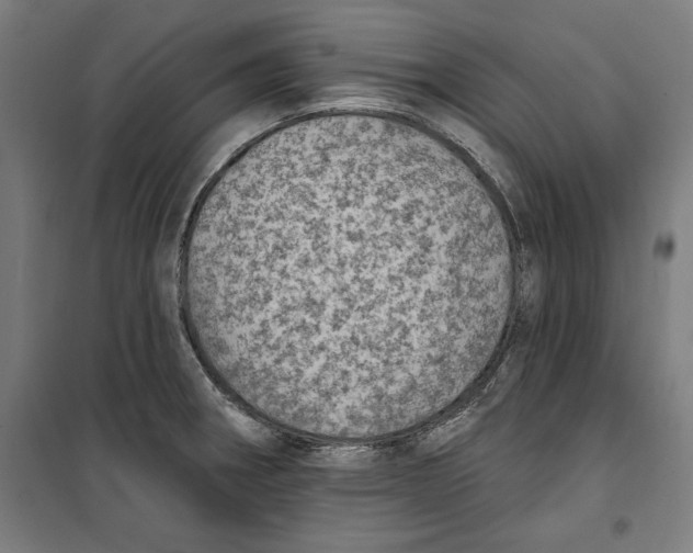 X0000100321282200807031202