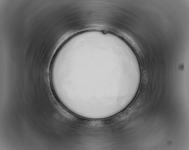 X0000100321283200807031202