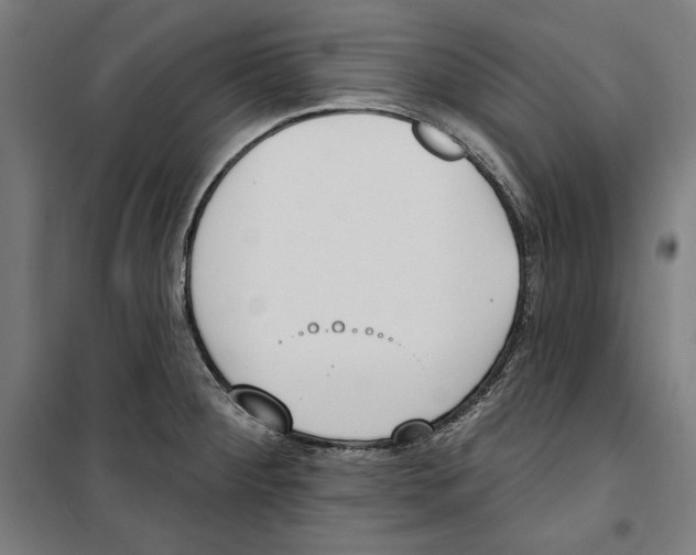 X0000100321284200807031202