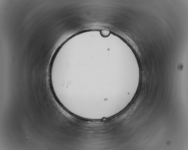 X0000100321285200807031202