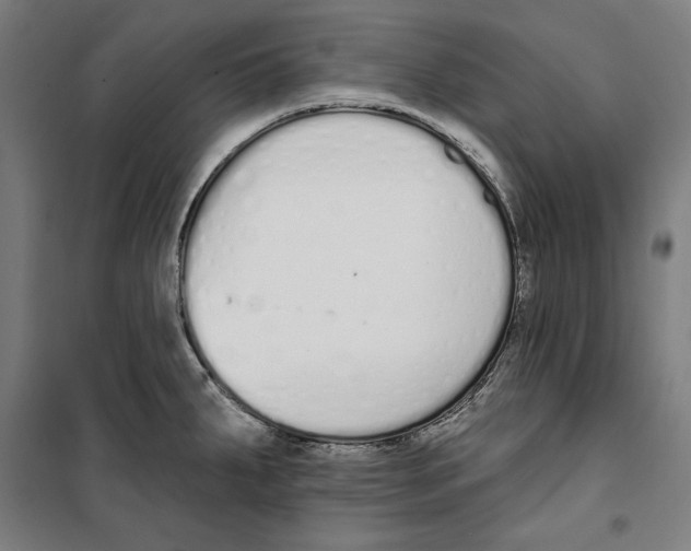 X0000100321287200807031202