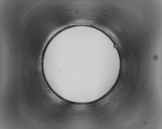 X0000100321288200807031202