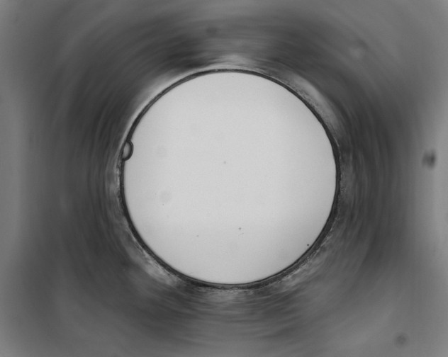 X0000100321292200807031202