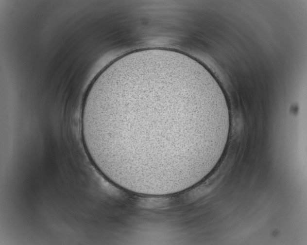 X0000100321294200807031202