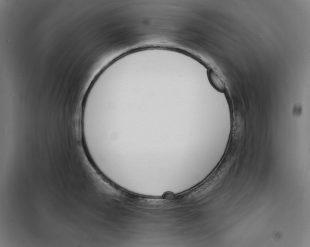 X0000100321295200807031202