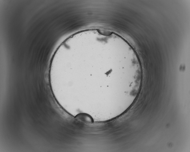 X0000100321296200807031202