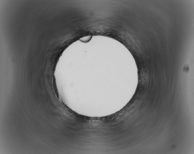 X0000100321297200807031201