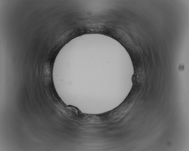 X0000100321298200807031201