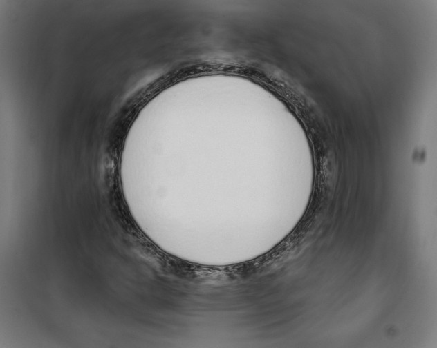 X0000100321302200807031201