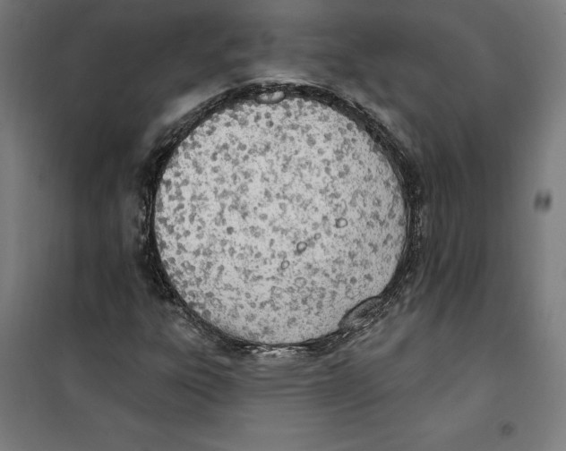 X0000100321303200807031201