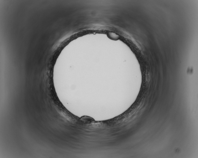 X0000100321304200807031201