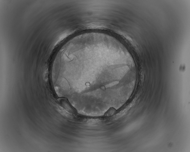 X0000100321306200807031201