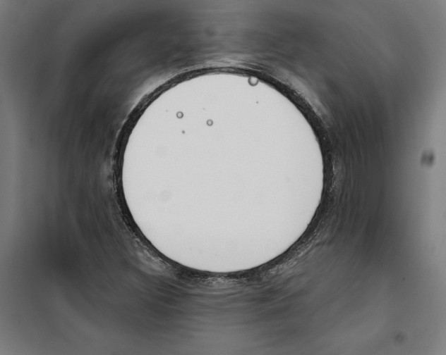 X0000100321308200807031201