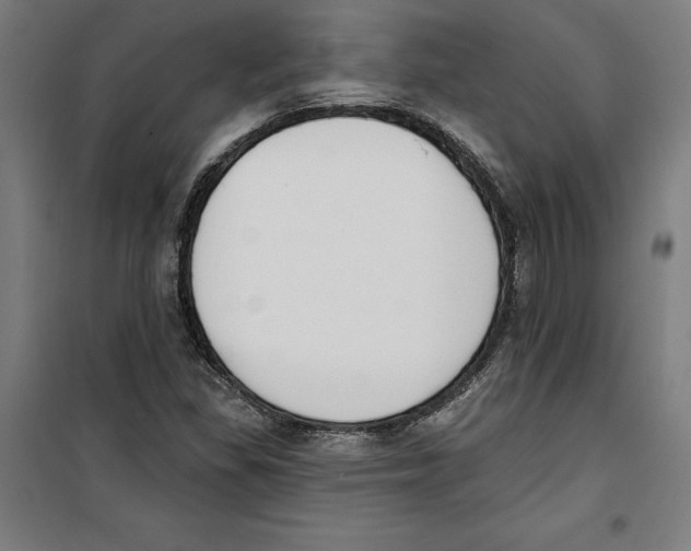 X0000100321309200807031201