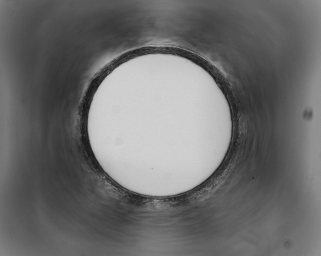 X0000100321311200807031201