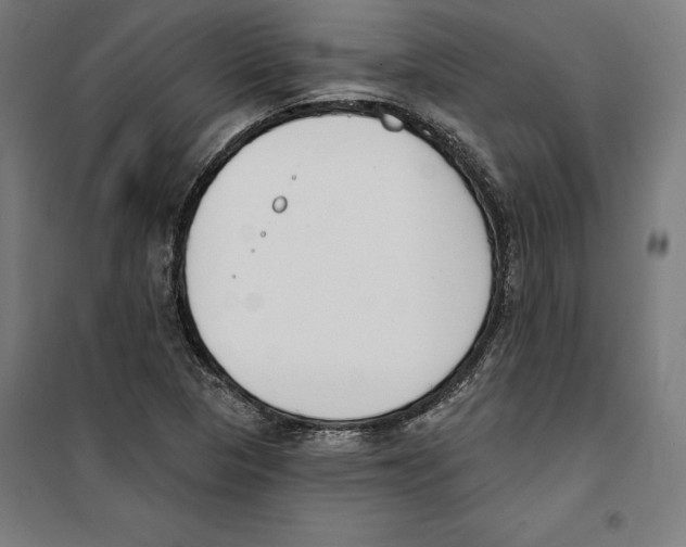 X0000100321313200807031201