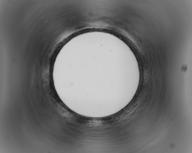 X0000100321315200807031201