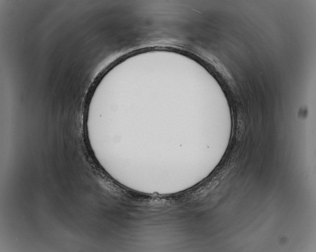 X0000100321316200807031201