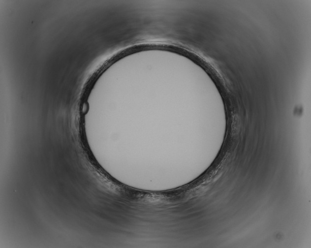 X0000100321319200807031201