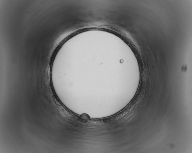 X0000100321320200807031201