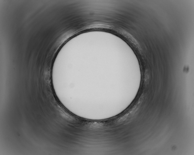 X0000100321321200807031201