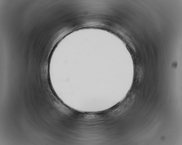 X0000100321322200807031201