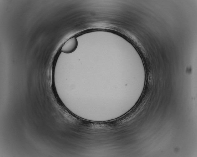 X0000100321323200807031201