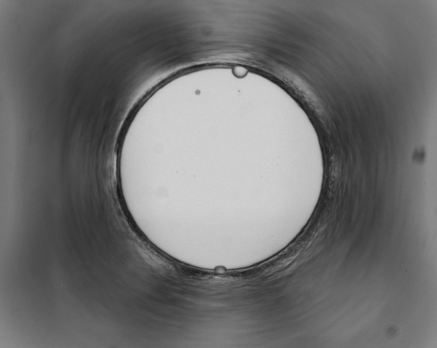 X0000100321324200807031201