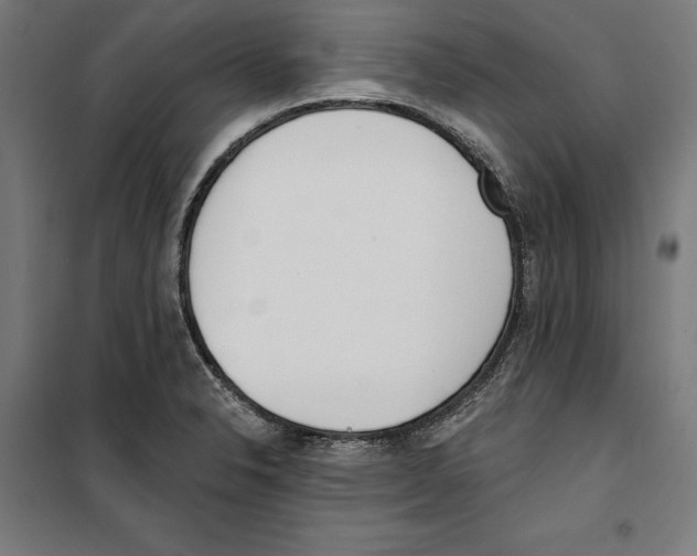 X0000100321326200807031201