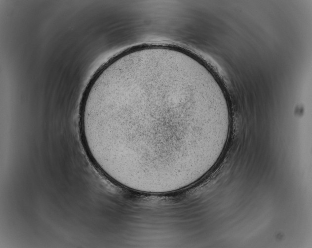 X0000100321327200807031201