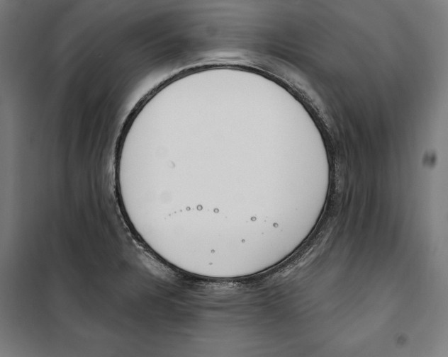 X0000100321328200807031201