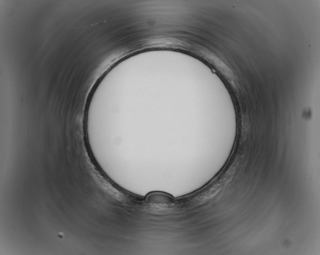 X0000100321330200807031201