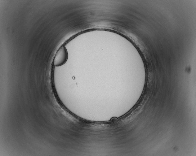 X0000100321331200807031201