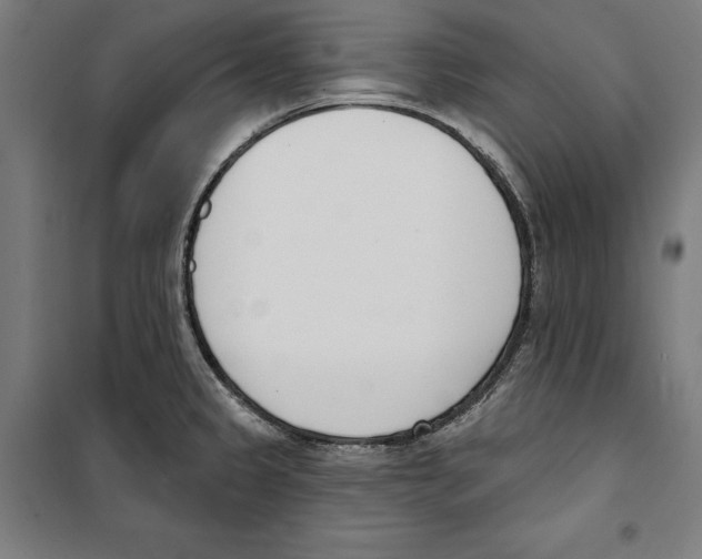 X0000100321333200807031201