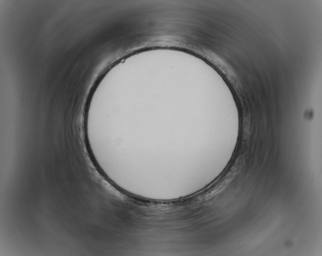 X0000100321334200807031201