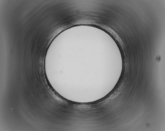 X0000100321337200807031201