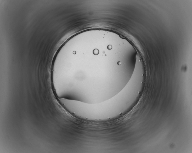 X0000100321338200807031201