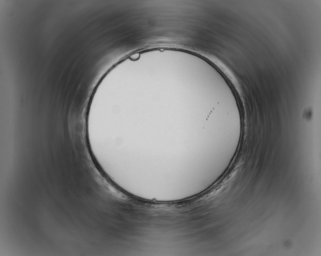 X0000100321341200807031201