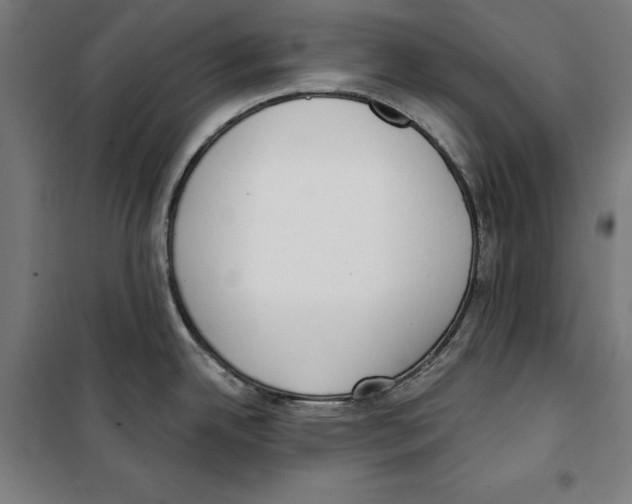 X0000100321342200807031202