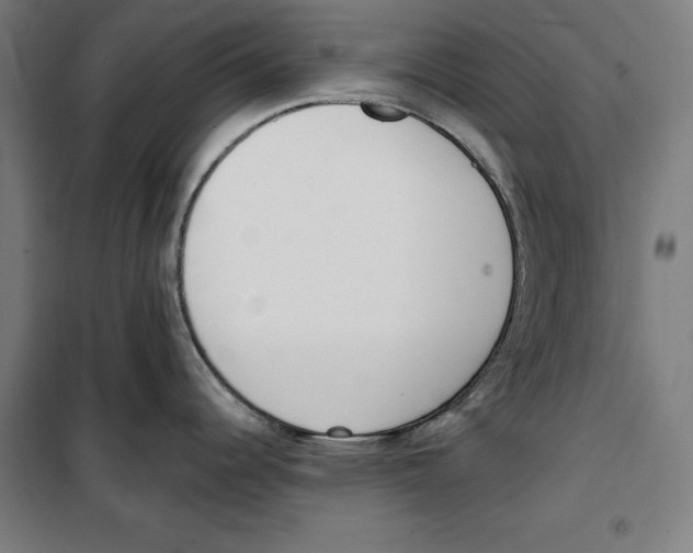 X0000100321344200807031202