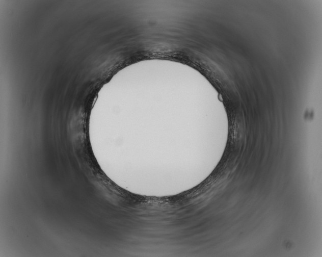 X0000100321346200807031201