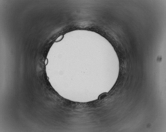 X0000100321349200807031201