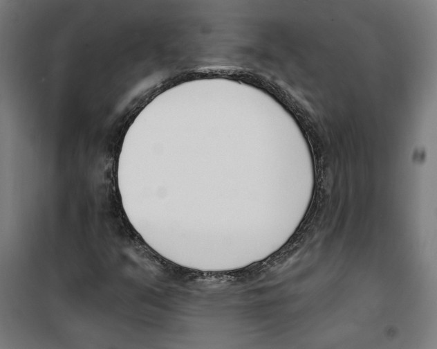 X0000100321351200807031201