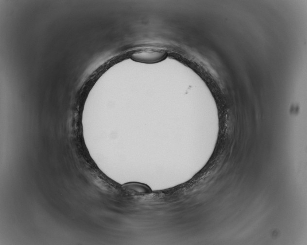 X0000100321352200807031201