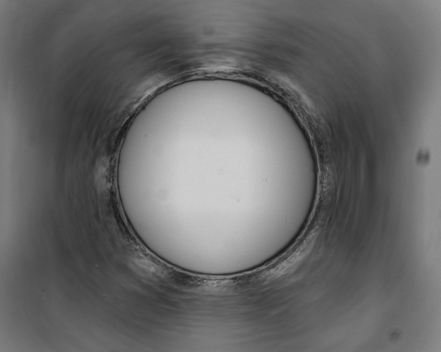 X0000100321353200807031201