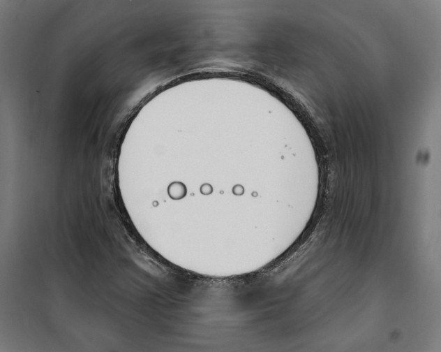 X0000100321355200807031201