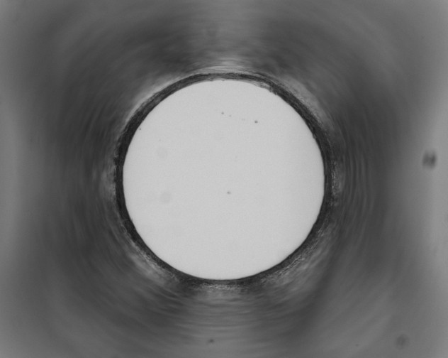 X0000100321356200807031201